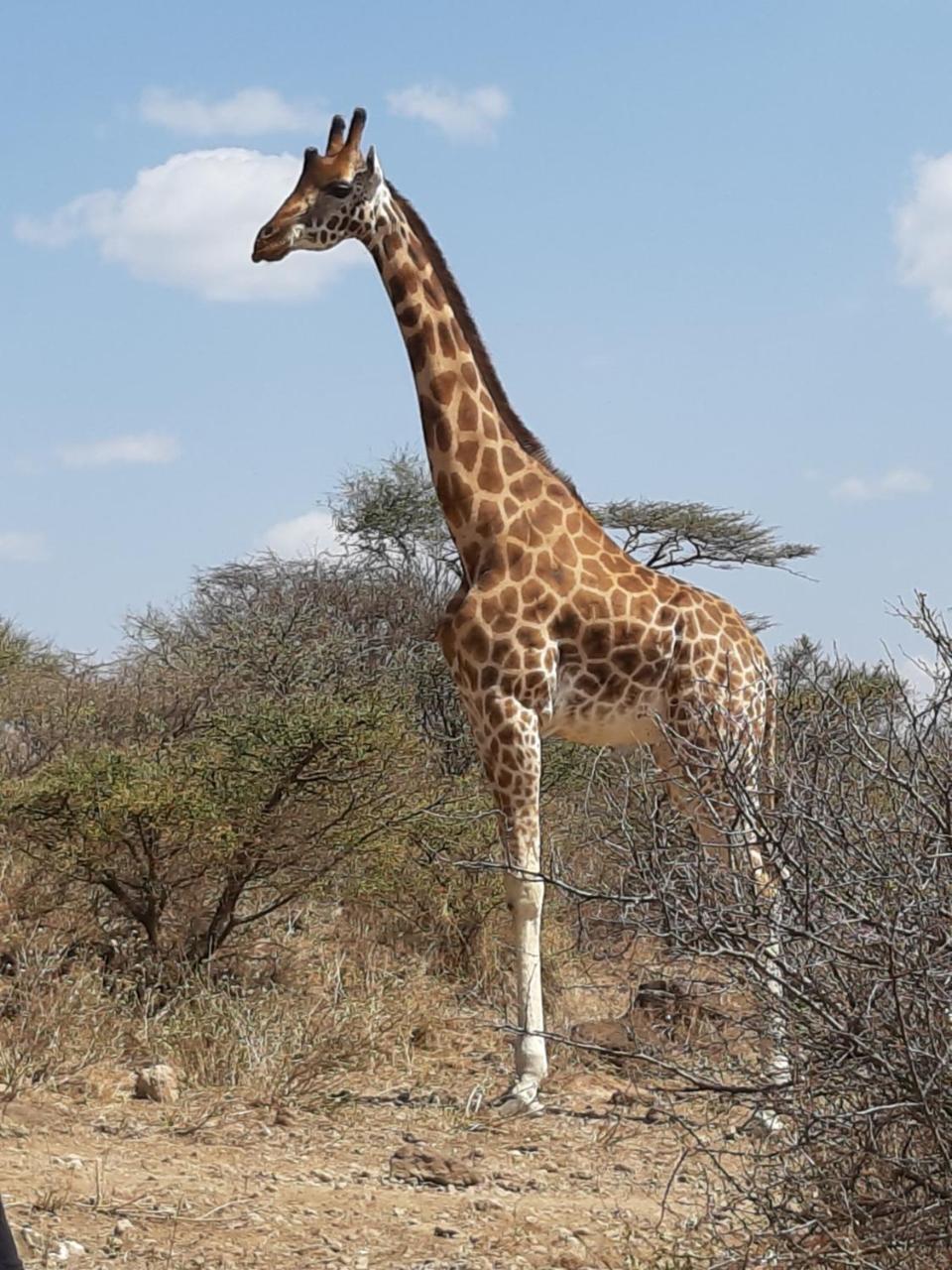 Sandai Resort Lake Baringo Ol Kokwe Exteriér fotografie